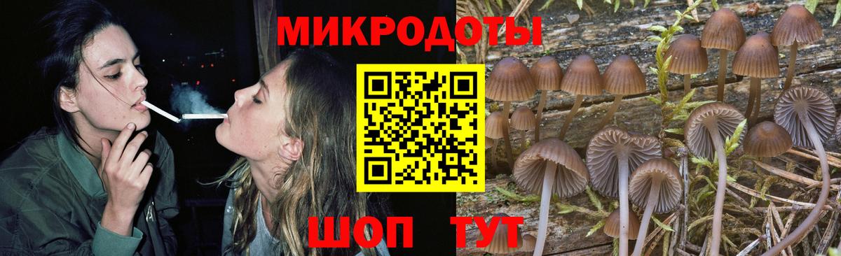 Галлюциногенные грибы мицелий Холмск